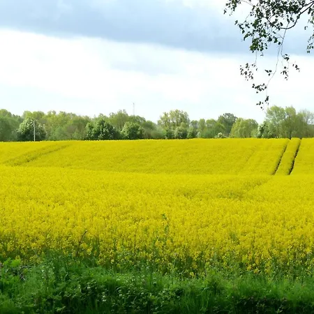 Gaestehaus Kibbel Lejlighed *