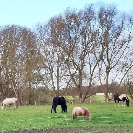 Gaestehaus Kibbel Lejlighed *