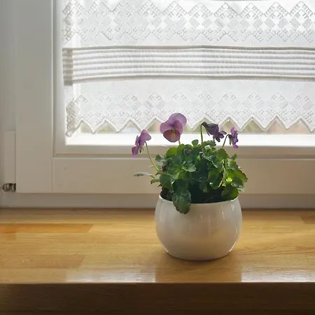 Lejlighed Gaestehaus Kibbel Bosau